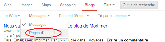 Google Blogs Option pour les pages d'accueil