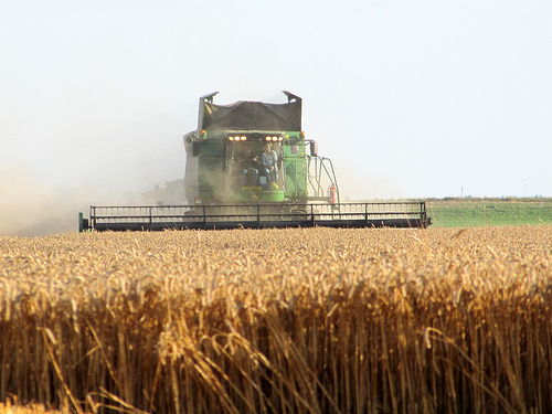 Netlinking, Google et targets: Scrapons peu mais scrapons bien