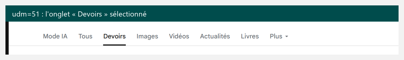 Onglet Devoirs de Google sélectionné via udm=51