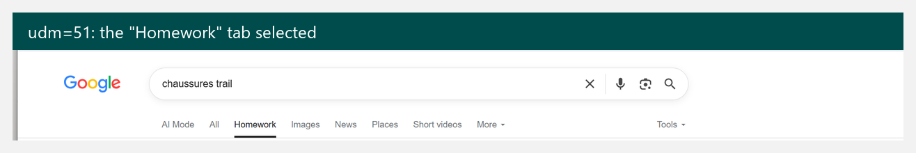Google Homework tab selected through udm=51